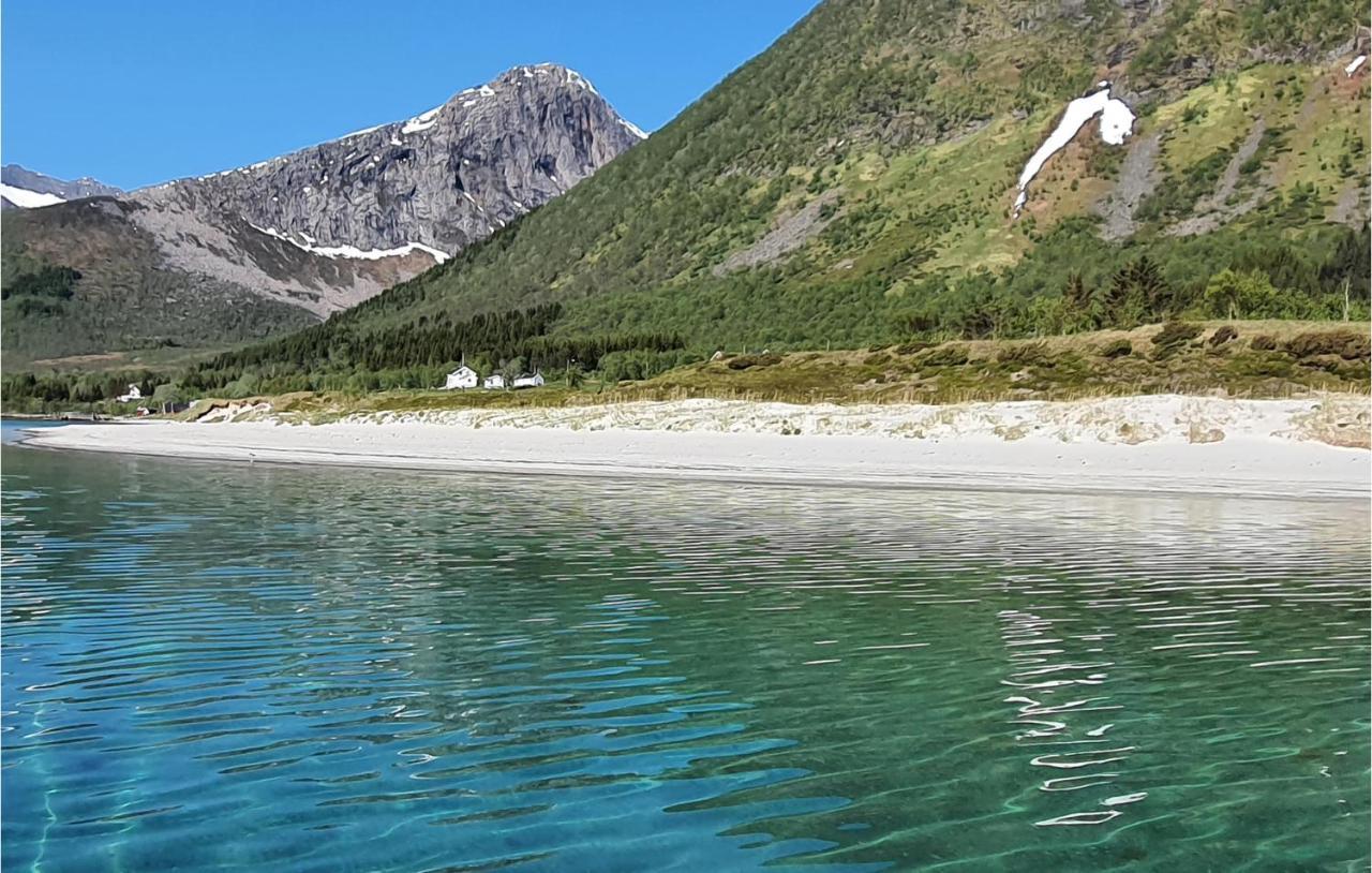 Pet Friendly Home In Sortland With Wifi Flesnes エクステリア 写真